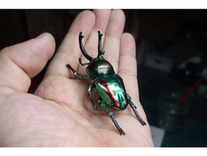 arco iris escarabajo phalacrognathus muelleri a los animales de insectos lucanidae 3d print model - Mito3D