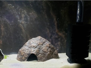 aquarium Dekoration - strukturierte Kokosnuss-Hälfte Haustiere Aquarien Höhle Fisch fishtank fish tank pleco Reptil Garnelen 3d print model - Mito3D