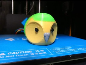 kakapo kafa hayvanlar kuş tehlike altındaki türler papağan 3d print model - Mito3D