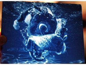 buceo perro lithophane Arte en 2d lindo divertido gameon3d el led litho luz de la noche miedo tiburón 3d print model - Mito3D