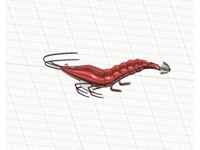 atrair, como camarão pesca da lula A impressão 3d Impressora peixe isca do mar 3d print model - Mito3D