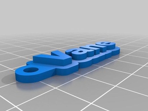 palheta chaveiros personalizado 3d print model - Mito3D