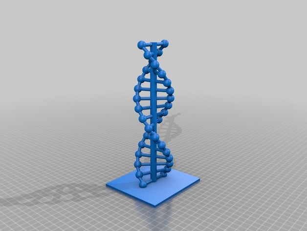 modelo del adn La impresión en 3d 3D print model - Mito3D