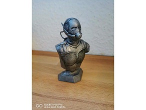 ant-man busto esculturas antman do marvel mcu 3d print model - Mito3D