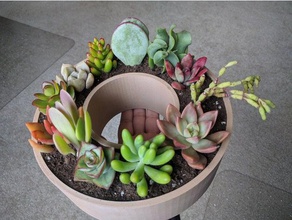 donut pot outdoor & garden cactus succulent succulents vase 3d print model - Mito3D