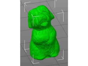 Hund lachen Tiere 3d print model - Mito3D