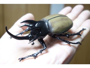 fivehorned beetle eupatorus gracilicornis animaux les insectes 3d print model - Mito3D