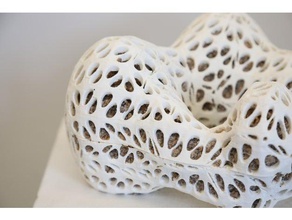 paramétrico de escultura esculturas A impressão 3d generative art design weaver 3d print model - Mito3D