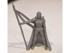 gloomhaven forgotten circles boss human armored female toy & game accessories armor dnd miniature spear 3d print model - Mito3D