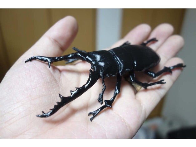 prosopocoilus giraffa Tiere Insekt lucanidae Hirschkäfer 3D print model - Mito3D