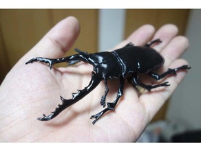 prosopocoilus giraffa animals insect lucanidae stag beetle 3d print model - Mito3D