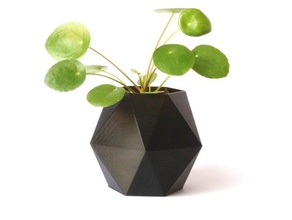 hexagon flower pot outdoor & garden cactus planter flowerpot vase vases planters plant 3d print model - Mito3D