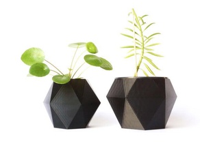 esagono vaso di fiori all'aperto e giardino cactus fiore vasi fioriera fioriere piantare in pot 3d print model - Mito3D