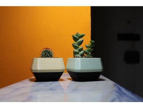 baja poli maceta edición - la parte superior abierta decoración balcón los cactus en casa jardín de hogares jardin plantadores olla plantas planta las suculentas 3d print model - Mito3D