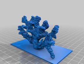 couve-flor coral esqueleto biologia aquário reef de água salgada 3d print model - Mito3D