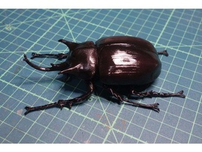 megasoma mars Tiere Käfer Insekt 3d print model - Mito3D