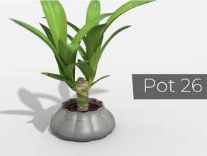 pentola 26 arredamento cactus vaso fiore di fiori vasi la pianta fioriera fioriere piante piantare in pot il i modalità 3d print model - Mito3D