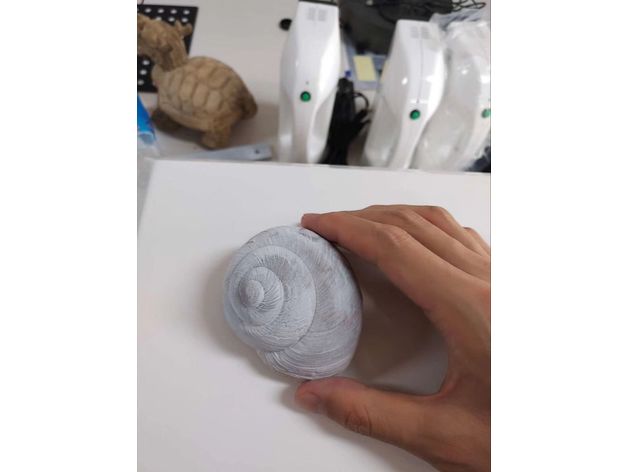 shell A impressão 3d Desenho em Modelagem Impressora Digitalização Scanner 3D print model - Mito3D