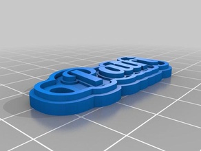 patri llavero llaveros personalizado 3d print model - Mito3D
