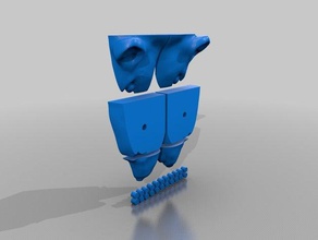 rat head mold 3d printing 3d print model - Mito3D