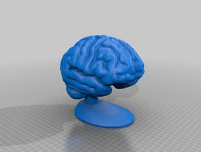 cerveau d'impact de l'impact du la thérapie 3d print model - Mito3D