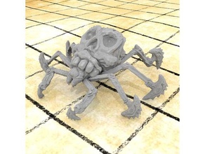 cráneo de la araña juegos boardgame criatura detallada los dados dragón mazmorra colmillos juego azar insectos mehdals mini en miniatura monster popular el roles rpg esqueleto cráneos tablero mesa trampa muertos vivientes web 3d print model - Mito3D