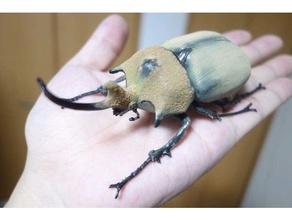 elephant beetle megasoma elephas animals insect 3d print model - Mito3D