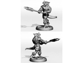tailed dragonborn barbarian toy & game accessories dnd miniature dungeons dragons figure gaming miniatures roleplaying rpg tabletop wargaming 3d print model - Mito3D