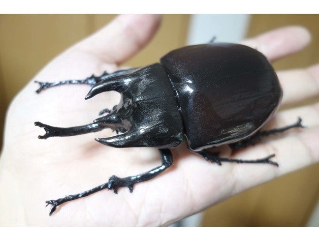 megasoma acteon animaux beetle les insectes 3D print model - Mito3D