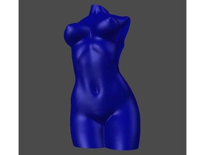 il corpo della donna vaso modalità remix - liscio modifiche estetiche sculture testa a di sesso femminile nudo la nudità sexy 3d print model - Mito3D