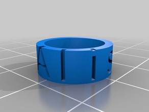 alisonring les anneaux personnalisé 3d print model - Mito3D