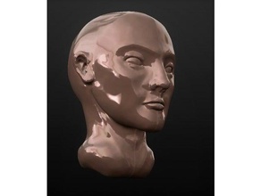 sculpture de la tête personnes visage l'homme crâne humain 3d print model - Mito3D