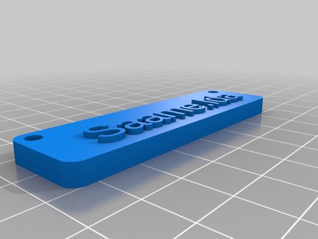 saame my clever name tag signs & logos customized 3D print model - Mito3D