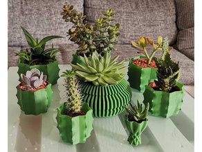 cactus vase - vasemode Container Kaktus Pflanzer Blumentopf pot 3d print model - Mito3D