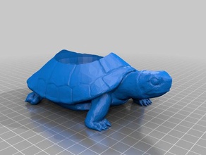 kaplumbağa hayvanlar 3d yazıcı hayvan 3d print model - Mito3D