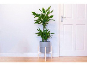 interior de um vaso planta stand decoração suporte o design flores ikea plantas mínimo pote 3d print model - Mito3D