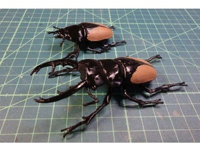 odontolabis burmeisteri animals insect lucanidae stag beetle 3d print model - Mito3D