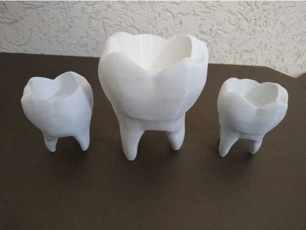 thooth vaso arredamento la decorazione il dentista scatolin sylvio dente 3D print model - Mito3D