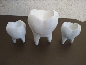 thooth florero decoración de la dentista scatolin sylvio diente 3d print model - Mito3D