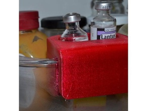 fiala di insulina titolare organizzazione diabetici aid porta del frigorifero 3d print model - Mito3D