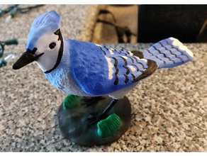 blue jay hayvanlar kuşlar 3d print model - Mito3D
