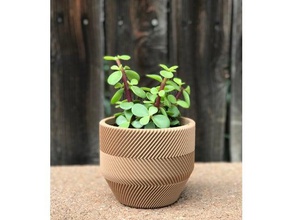 succulente fioriera - i più pigri famiglia la pianta piantare in vaso pot piante grasse succulento piatto 3d print model - Mito3D