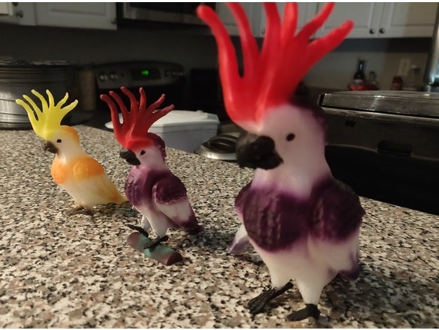 cacatúa a los animales de aves 3D print model - Mito3D