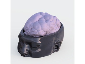 simon's brain people face human skull mri scan 3d print model - Mito3D