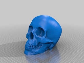 calavera para molde 3d print model - Mito3D