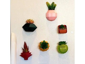 fridge planters decor magnet plant planter pot smartphone succulents tinkercad vase 3d print model - Mito3D