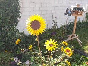 sunflower windmill toy & game accessories 3d print model - Mito3D