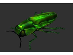 métallique insectes xylophages anthaxia animaux beetle 3d print model - Mito3D