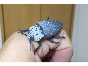 capnodis animals beetle 3d print model - Mito3D