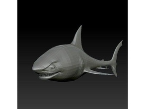 shark animali 3d print model - Mito3D